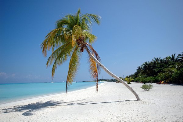 Découvrez le meilleur trajet bruxelles-paris en train et bus