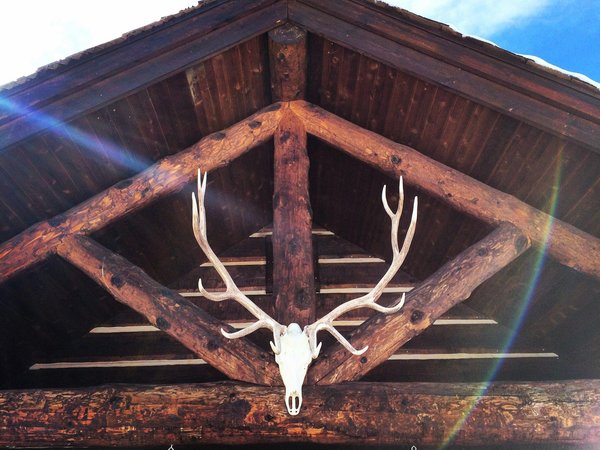 Les meilleurs chalets à avoriaz pour des vacances réussies