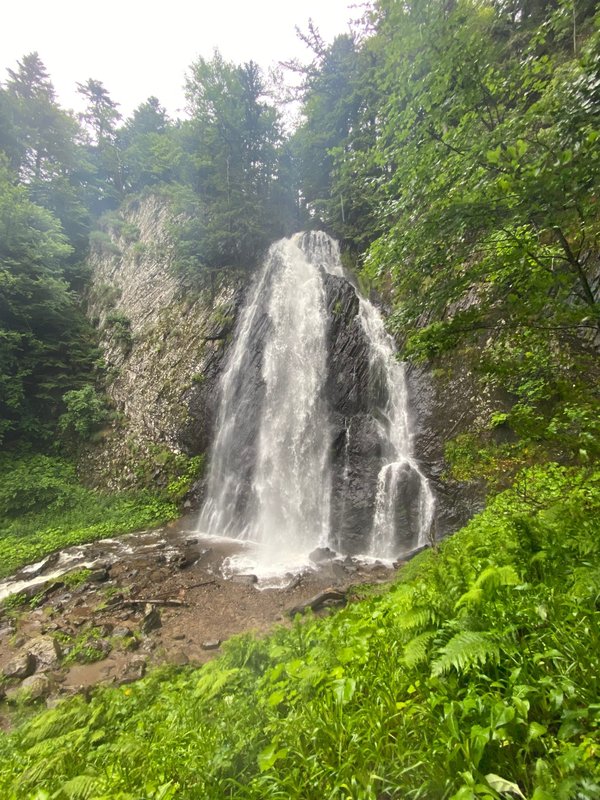 Découvrez le puy du fou : guide complet pour une aventure inoubliable